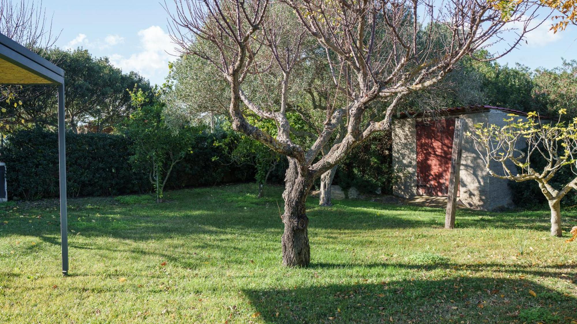 Welcomely - Acqua E Tramonto Apartment Olbia Luaran gambar